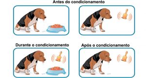 Behaviorismo: a psicologia comportamental de Watson e Skinner