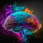 Plasticidade cerebral